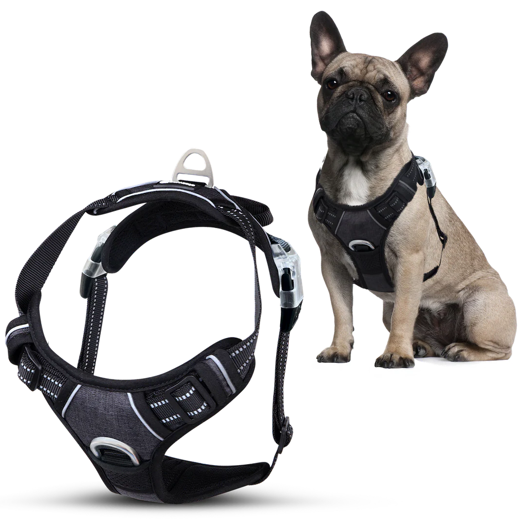 MaterYourPet® Húzásgátló Hám