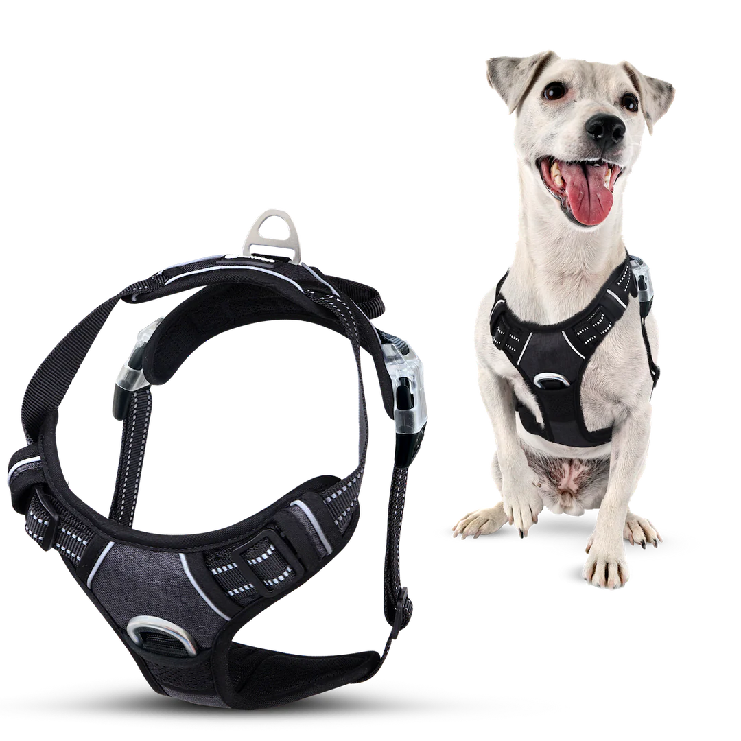 MaterYourPet® Húzásgátló Hám