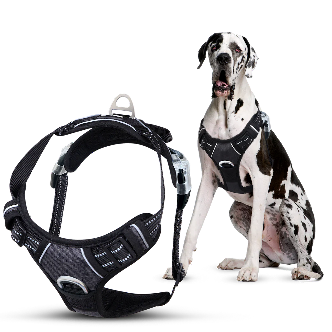 MaterYourPet® Húzásgátló Hám